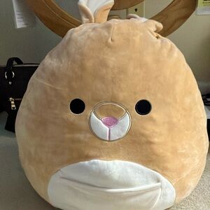 Beautiful squish Marlow